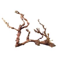 Wurzeln & Holz