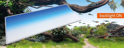 Daytime Backlight - LED RÃ¼ckwand