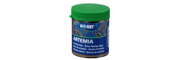 Artemia & Zubehör