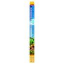 sera LED daylight sunrise 820