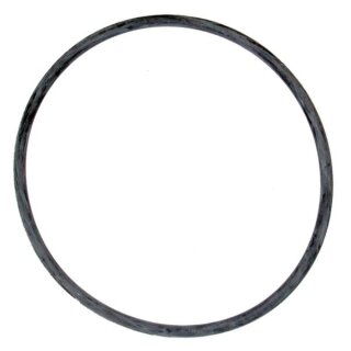 Tetra Dichtungsring O-Ring EX 600/800 Plus