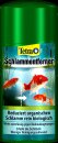 Tetra Pond Schlammentferner 500 ml