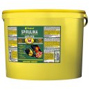 Tropical Super Spirulina Forte (36%) - 11 Liter