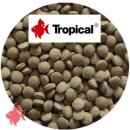 Tropical Staple Tablet B (Boden) - 1kg
