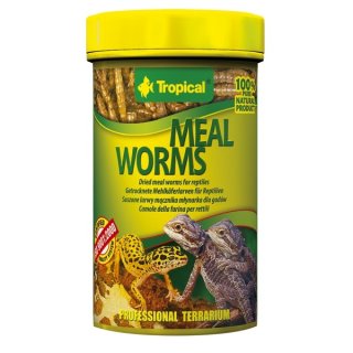 Tropical Meal Worms - 100 ml