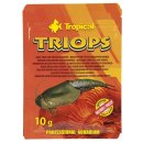 Tropical Triops - 10 g