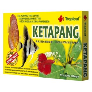 Tropical Ketapang - 30 g