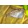 Gasteropelecus sternicla - Silber-Beilbauchfisch