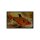 Hyphessobrycon eques - Blutsalmler - Liefergröße ca.: 1-2  cm