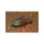 Hyphessobrycon flammeus - Roter von Rio Salmler - Liefergröße ca.: 2-4 cm