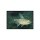 Moenkhausia pittieri - Brilliant-Salmler