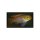 Pelvicachromis taeniatus dehane - Smaragd-Prachtbarsch - Liefergröße ca.: 2-4 cm