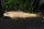 Gyrinocheilus aymonieri gold - Liefergröße ca.: 3-4 cm