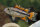 Apistogramma cacatuoides Rot - Liefergröße ca.: 3-5 cm