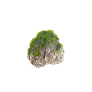 AQUA DELLA Moss Stone -S- zum Ankleben an die Scheibe