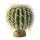 Exo Terra Desert Plant Barrel Cactus mittel