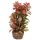 Hobby Flora Stone 4 -  4 x 13 cm täuschend echt aussehende Aquarienpflanze