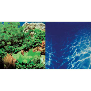 Hobby Fotorückwand-Zuschnitt Pflanzen 8 / Marin Blue 120 x 50 cm