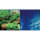 Hobby Fotorückwand-Zuschnitt Pflanzen 8 / Marin Blue 120 x 50 cm