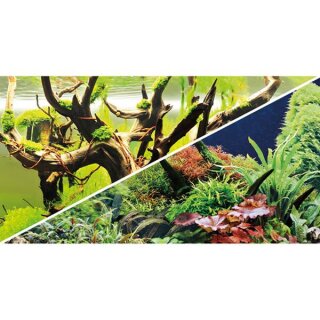 Hobby Fotorückwand-Zuschnitt Green Secret / Wood Island 120 x 50 cm, SB