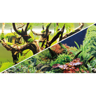 Hobby Fotorückwand-Zuschnitt Green Secret / Wood Island 100 x 50 cm, SB