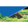 Hobby Fotorückwand-Zuschnitt Spring / Moss 120 x 50 cm
