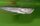 Arowana,  Osteoglossum bicirrhosum