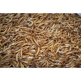 Mehlwürmer gefriergetrocknet, 10 Liter