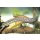 Mastacembelus armatus  - Marmorstachelaal