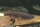 Xenomystus nigri - Afrikanischer Messerfisch