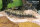 Hoplias Malabaricus - Tigersalmler