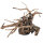 Fingerwood Shadow XL