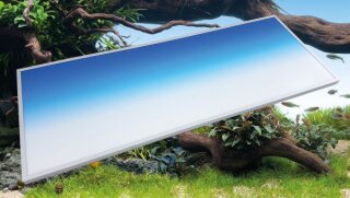 daytime® backlight Pool, B45xH34cm
