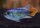Apistogramma agassizii Alenquer neonblau - Weibchen