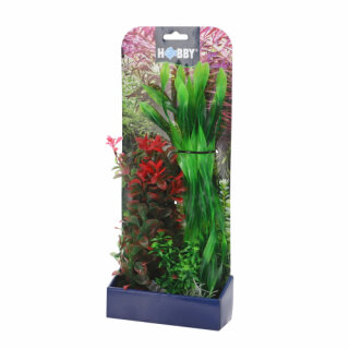 Hobby Plantays Set 2