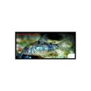 Corydoras parallelus DNZ