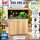 Juwel Rio 290 LED helles Holz inkl. Schrank