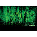 Hobby Bubble Air LED colour & moon 33 cm
