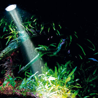 Hobby Bubble Air Spot daylight