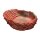 Hobby Trinkschale M, rot 150 ml, 14 x 11 x 5 cm