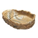 Hobby Trinkschale L, grau-beige 550 ml, 20 x 16 x 5 cm