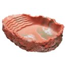 Hobby Trinkschale L, rot 550 ml, 20 x 16 x 5 cm