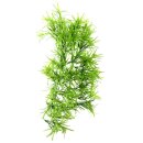 Hobby Climber Tropica hängend, 37 cm,...