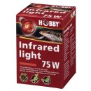 Hobby Infraredlight, Infrarotlicht - 75 Watt