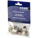 Hobby Sea Shells Set S 20 St., SB