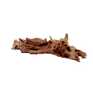 Hobby Mangrovenholz M 25 - 35 cm