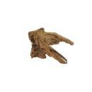 Hobby Mangrovenholz L 40 - 55 cm