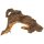 Hobby Mopani S 15 - 25 cm