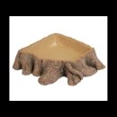 Hobby Trinkschale Stump 1 15 x 14 x 4 cm