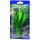 Hobby Cyperus 16 cm, täuschend echt aussehende Aquarienpflanze